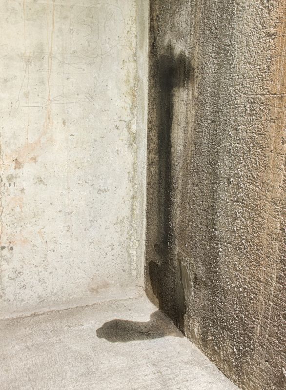 Wet Basement Repair in Fort Myers, FL